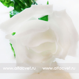 розы пластмассовые цвета белый 6